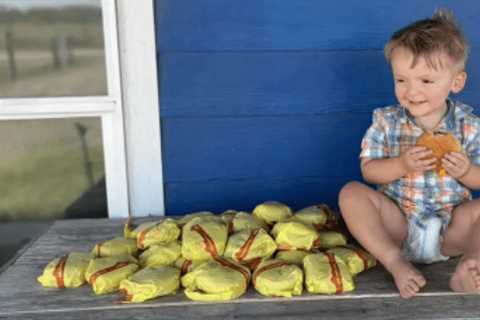 Texas toddler orders 31 McDonald’s cheeseburgers on DoorDash after catching mom’s phone and..