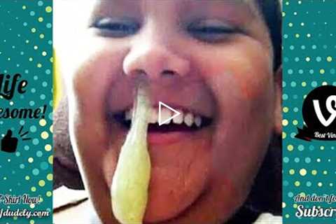 Try Not To Laugh Funny Videos - Funniest Moments Fails Ever