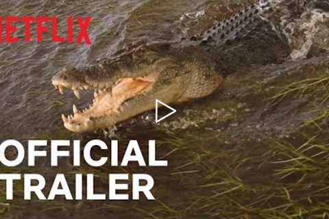 Wild Croc Territory | Official Trailer | Netflix