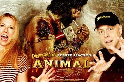 Animal Pre-Teaser Reaction! Hindi | Ranbir Kapoor | Sandeep Reddy Vanga!