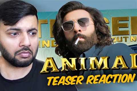 Pakistani Reacts to ANIMAL TEASER - RANBIR KAPOOR