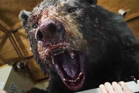 Cocaine Bear 2? Elizabeth Banks would return to direct a sequel